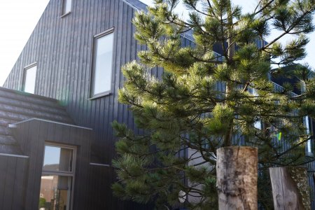 Houten schuurwoning bouwen